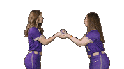 Softball Ppp Sticker by Albion College