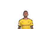 Celebrating Borussia Dortmund Sticker by Bundesliga