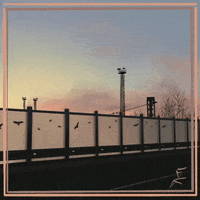 Fly City GIF