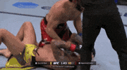 Mixed Martial Arts Sport GIF by UFC