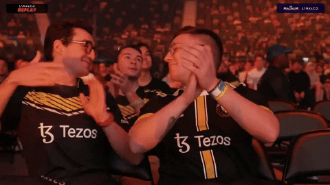 Vitality GIF by BLAST