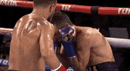 toprank fight boxing fighting champion GIF