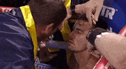 toprank fight boxing fighting champion GIF