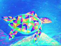 Art Ocean GIF by The LSD Hotel