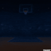 TENAMINT basketball pixelart nba hockey GIF