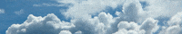 freeholdgrp  GIF