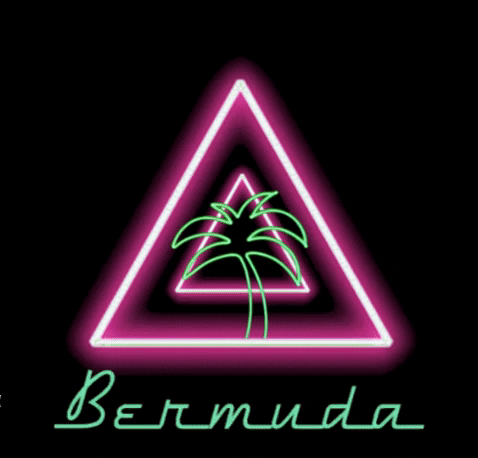 BermudaPEC giphygifmaker 90s 80s neon GIF