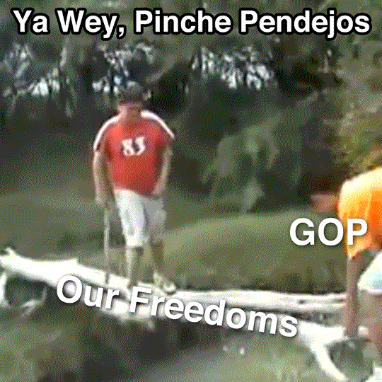 Digital art gif. Two teenage boys adjusting logs to create a bridge over a river, one in a red jersey atop the log, labeled "our freedoms," one in a yellow t-shirt, labeled "GOP," on the riverbank, adjusts the log suddenly, causing the other boy to lose his footing and fall into the water below. Text, "Ya wey, pinche pendejos."