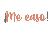 ecanales married wife boda novia Sticker
