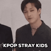 Stray Kids Skz GIF