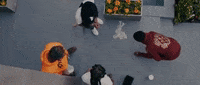 dice GIF by G Herbo