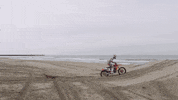 Red Bull F1 GIF by Red Bull Racing