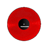 Vinyl Spinning Sticker
