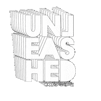 Wakeboard Wakeskate Sticker by UNLEASHED WAKE MAG