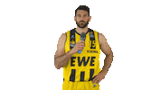 Ewe Baskets Basketball Sticker by EWE Baskets Oldenburg