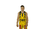 Ewe Baskets Basketball Sticker by EWE Baskets Oldenburg