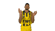 Ewe Baskets Basketball Sticker by EWE Baskets Oldenburg