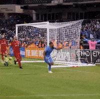 New York City Fc Celebration GIF by NYCFC