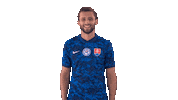 Celebration Goal Sticker by Slovensky futbalovy zvaz