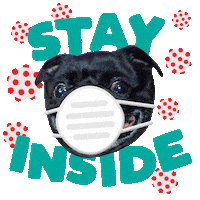 Pug Stay Home Sticker