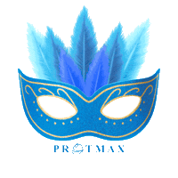 Carnaval Sticker by Protmax