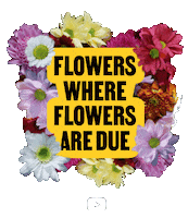 Shout Out Thank You Sticker by YouTube