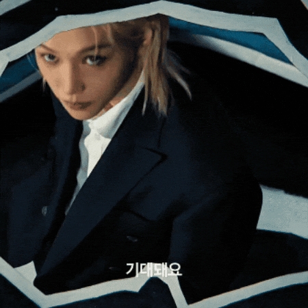 Stray Kids Skz GIF