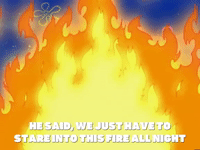 season 6 GIF by SpongeBob SquarePants