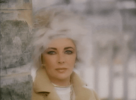 furglamor giphyupload windy fur elizabeth taylor GIF