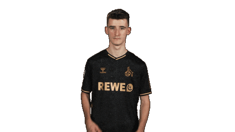 Football Sport Sticker by Bundesliga