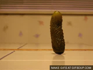 pickles GIF