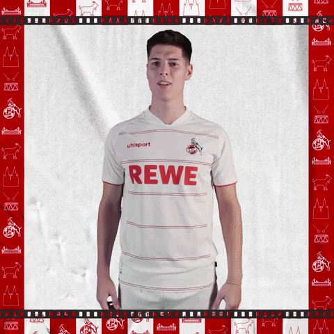 1 Fc Cologne Football GIF by 1. FC Köln