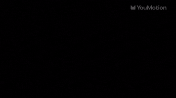 Animated flash funny lines visual effects animated elements