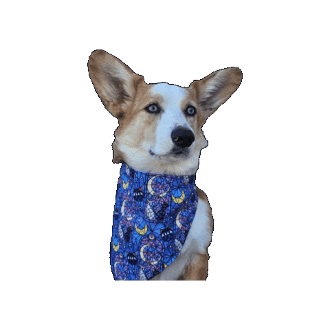 Sailor Moon Corgi Sticker by Geekster Pets