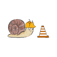 kitaweinbergschnecke weinbergschnecke kitaweinbergschnecke Sticker