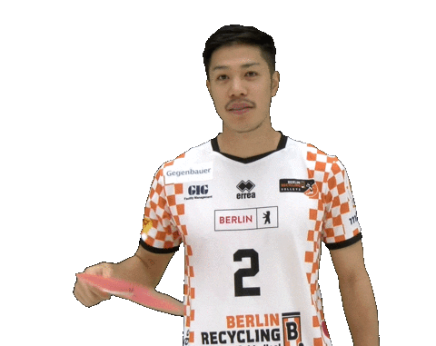 Volleyball Berlin Sticker by BR Volleys