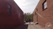 plugyourholes baseball boss rage swing GIF