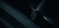 Season 1 Reptile GIF by Paramount+