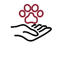 LeadERVET paw veterinary veterinarian follow the leader Sticker