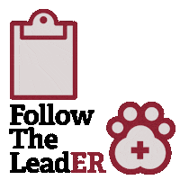 LeadERVET paw veterinary veterinarian follow the leader Sticker