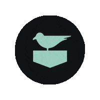 New Jersey Summer Sticker by Jetty