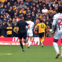 Celebrating Premier League GIF by Wolves