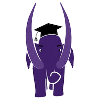 Graduation Commencement Sticker by Amherst College