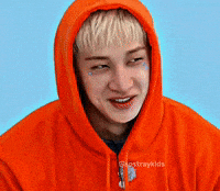 Cry Stray Kids GIF