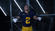 Go Blue GIF by Michigan Athletics
