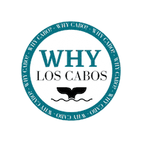 Sea Lion California Sticker by Michael Baldwin Properties