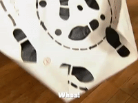 season 3 GIF by SpongeBob SquarePants