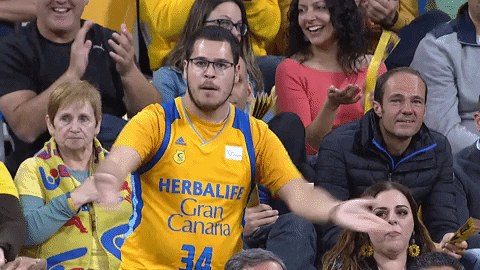 vamos liga endesa GIF by ACB