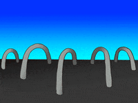 rainbow GIF by Annie Gugliotta