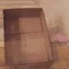 out GIF